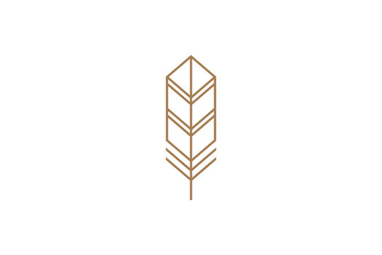 feather logo with line art design style