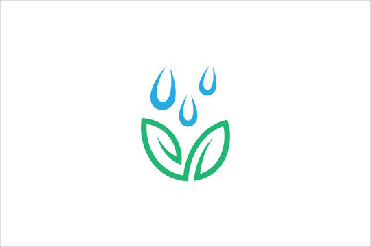 Leaf logo design with water drop splash