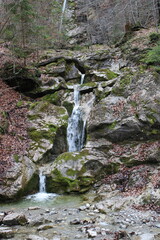Wallaper, Nature, Peace