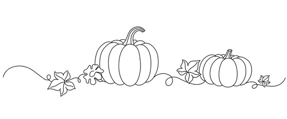pumpkins line art style. halloween and thanksgiving elements vector.