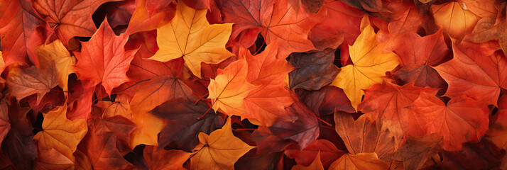 Naklejka na ściany i meble Autumnal Beauty: Textured Fall Leaves