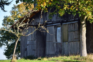 Leerstehende alte Holz Hütte von Bäumen umgeben