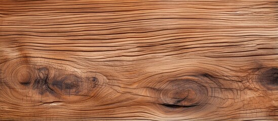 Fototapeta premium Wood texture without seams