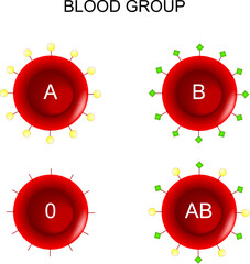 Blood type. blood group