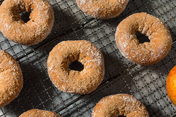 Sweet Homemade Apple Cider Donuts