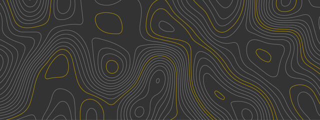 Abstract topographic wavy curve line background. Topography map pattern, Geographic curved relief. Topographic lines background. Vector illustration.	