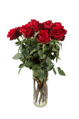 seven red roses in a glaass vase
