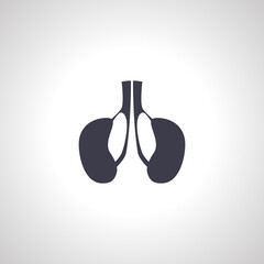 Kidney isolated icon. Kidneys icon.