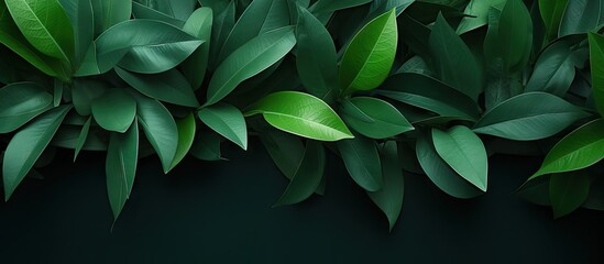 Contemporary wallpaper for interior design with green leaves and desert inspired background and texture