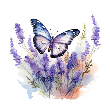 recommend clip art: purple butterfly with lavender. watercolor illustration. butterflies and flower