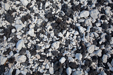 Black and white beach rocks, Kona, Hawaii. 
Black lava rocks and white coral rocks