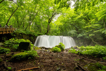  Long exposure photography of Choshi waterfall of Oirase stream in Aomori, Japan during summer