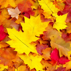 Naklejka na ściany i meble Autumn leaves background ai genereted