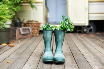 Green rubber boots with flowers and plants bouquet to contryyard of house. Cozy decor of autumn terrace of house. Garden boots. Rustic composition decor. Rain boots in front of house on porch.	