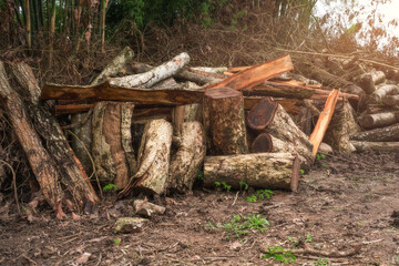 Deforestation due to expanding agricultural areas  Affects the weather and global warming.