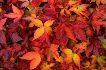 Naklejka na ściany i meble Background of vibrant autumnal foliage for online presentations and websites. Generative AI