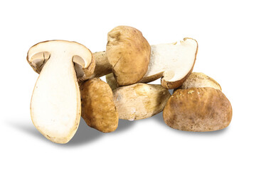 mushroom on white background