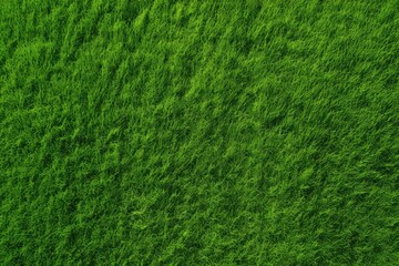 a lush green field with vibrant grass