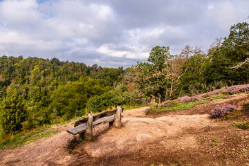 Sommerwanderung durch die Drachenschlucht in der Nähe von Eisenach - Thüringen - Deutschland