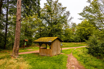 Sommerwanderung durch die Drachenschlucht in der Nähe von Eisenach - Thüringen - Deutschland
