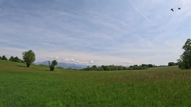 Video of a natural landscape with a big green meadow. Calm and tranquility on a sunny day.