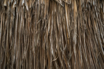 Background texture of dried grass that has been bundled together in a sheet.