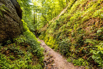 Sommerwanderung durch die Drachenschlucht in der Nähe von Eisenach - Thüringen - Deutschland