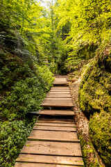 Obraz premium Sommerwanderung durch die Drachenschlucht in der Nähe von Eisenach - Thüringen - Deutschland
