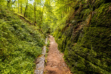 Sommerwanderung durch die Drachenschlucht in der Nähe von Eisenach - Thüringen - Deutschland