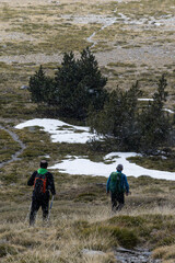 hikers walking through the Sierra Nevada