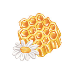 Honey bee set