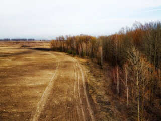 An aerial perspective reveals an agricultural field adjacent to a lush forest, forming a serene landscape.