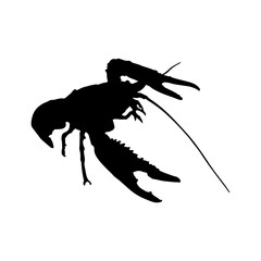 silhouette of lobsters
