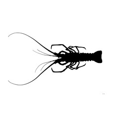 silhouette of lobsters