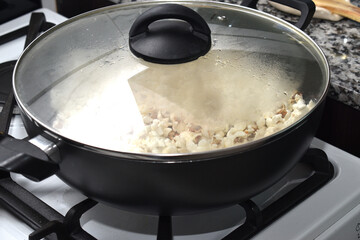 woman cooking popcorn at home to watch a movie