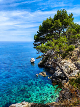 calanque de majorque