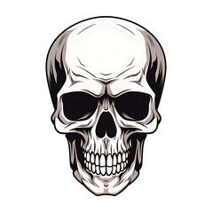 Fototapeta premium human skull