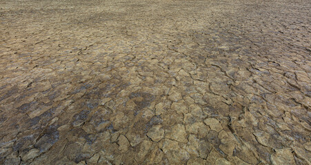 dry cracked soil surface,Panorama of cracked brown soil, barren wasteland surface natural background with deep focus