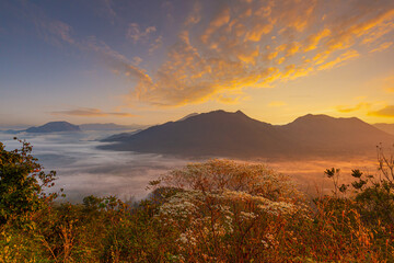 mountain landscape and fog in the morning,Aerial view of foggy valley in the morning amidst mountains