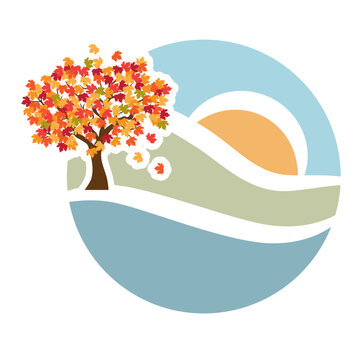 colorful autumn maple tree, vector