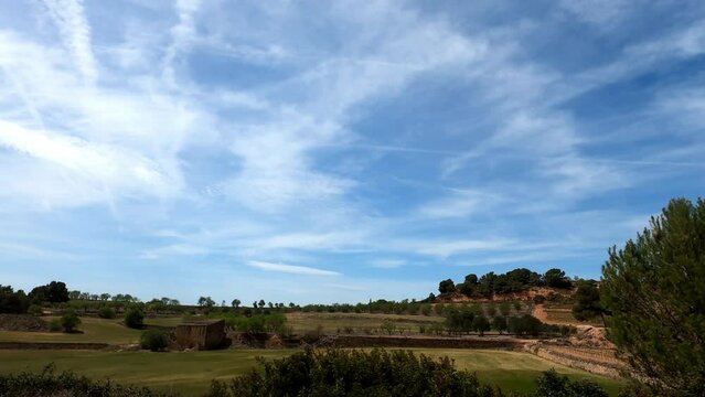 Agricultural area with vineyards and olive trees