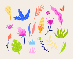 Vector collection of tropical leaves and flowers