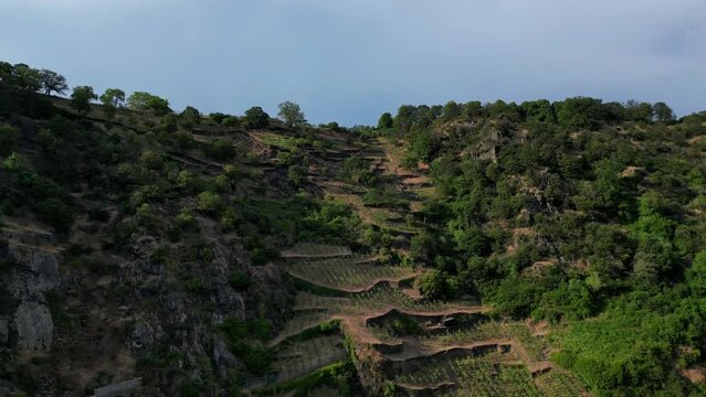 German Vineyard from above Drone 4K 