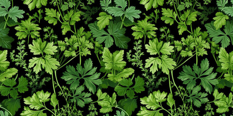 Cilantro flowers seamless pattern, lacy leaf illustrations. Concept: Ethereal organic prints.