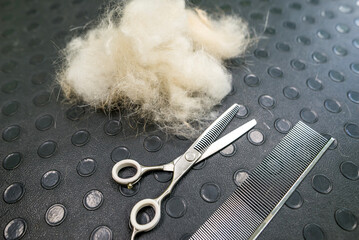 Dog grooming accessories. The concept of advertising grooming and care for dogs.