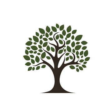 Olive tree logo design template. Vector illustration of olive tree icon.