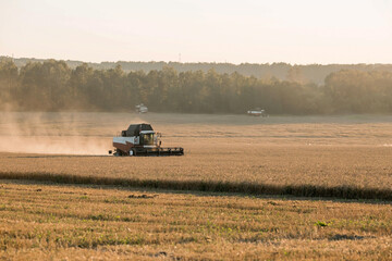 Agricultural machinery. Agricultural industry. The combine harvester removes  ears of ripe wheat against the background of a ripening field. The concept of planting and harvesting a rich harvest. 