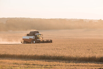 Agricultural machinery. Agricultural industry. The combine harvester removes  ears of ripe wheat against the background of a ripening field. The concept of planting and harvesting a rich harvest. 