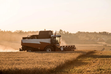 Fototapeta premium Agricultural machinery. Agricultural industry. The combine harvester removes ears of ripe wheat against the background of a ripening field. The concept of planting and harvesting a rich harvest. 