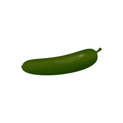 green cucumber on white background.vegetable vector illustration